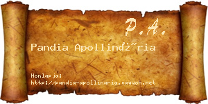Pandia Apollinária névjegykártya